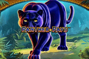 Panther Pays - STORYBET138