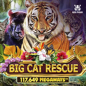 Big Cat Rescue Megaways - STORYBET138