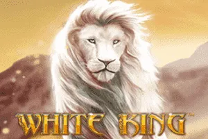 White King - STORYBET138