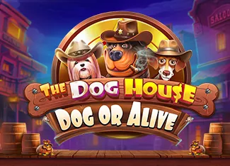 Pragmatic : The Dog House - Dog or Alive - STORYBET138