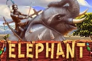 PLAYSTAR : ELEPHANT - STORYBET138