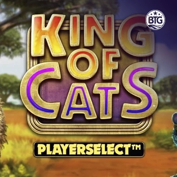 King of Cats - STORYBET138
