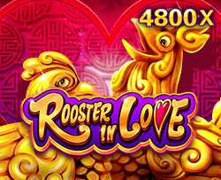 Rooster In Love - STORYBET138