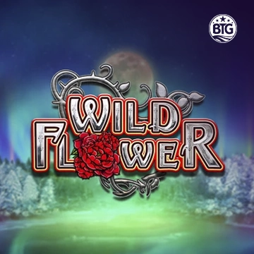 Wild Flower - STORYBET138