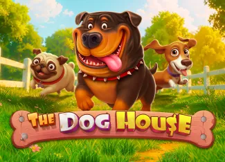 Pragmatic : The Dog House - STORYBET138
